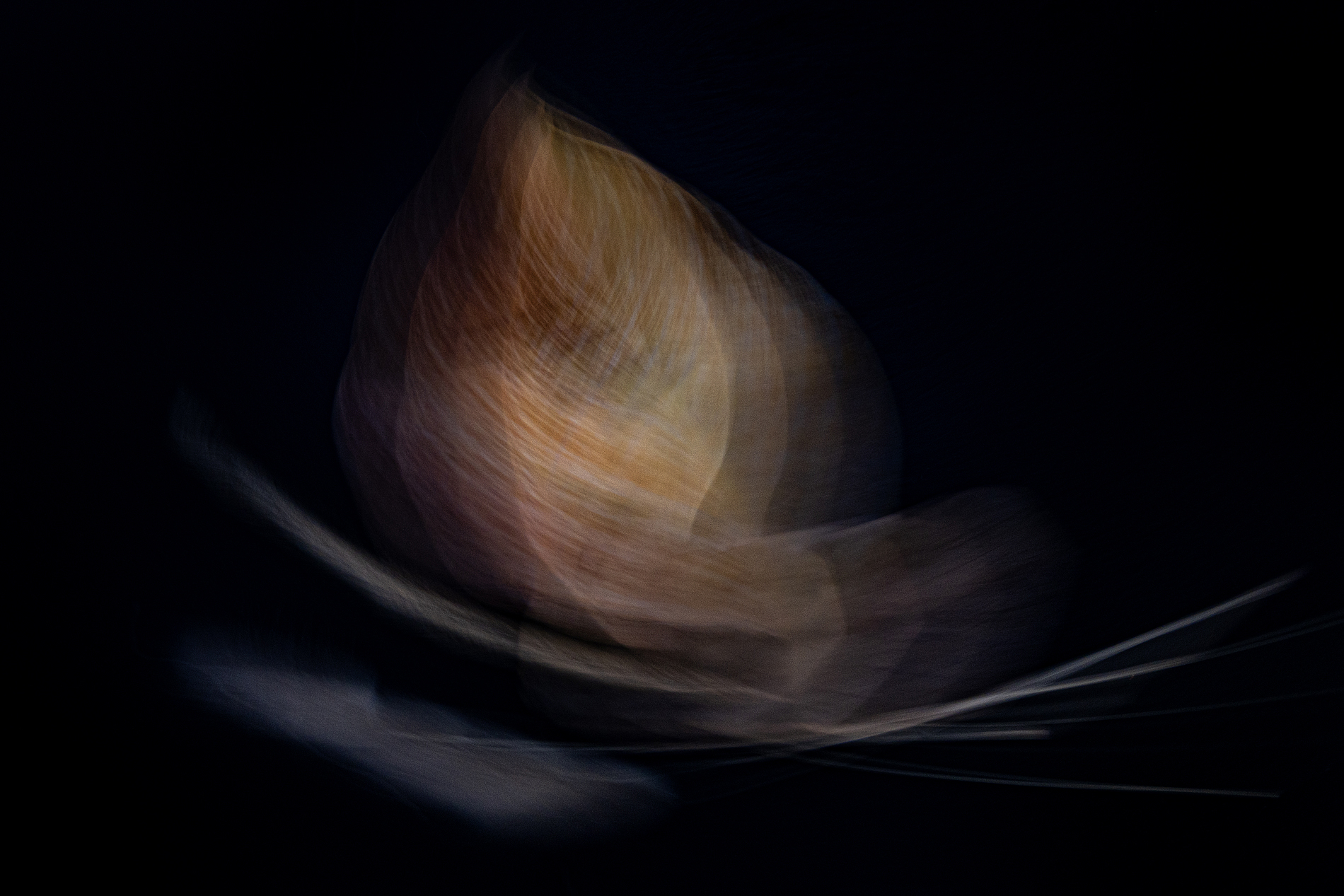 Gouden Herfst | Abstracte Fotokunst