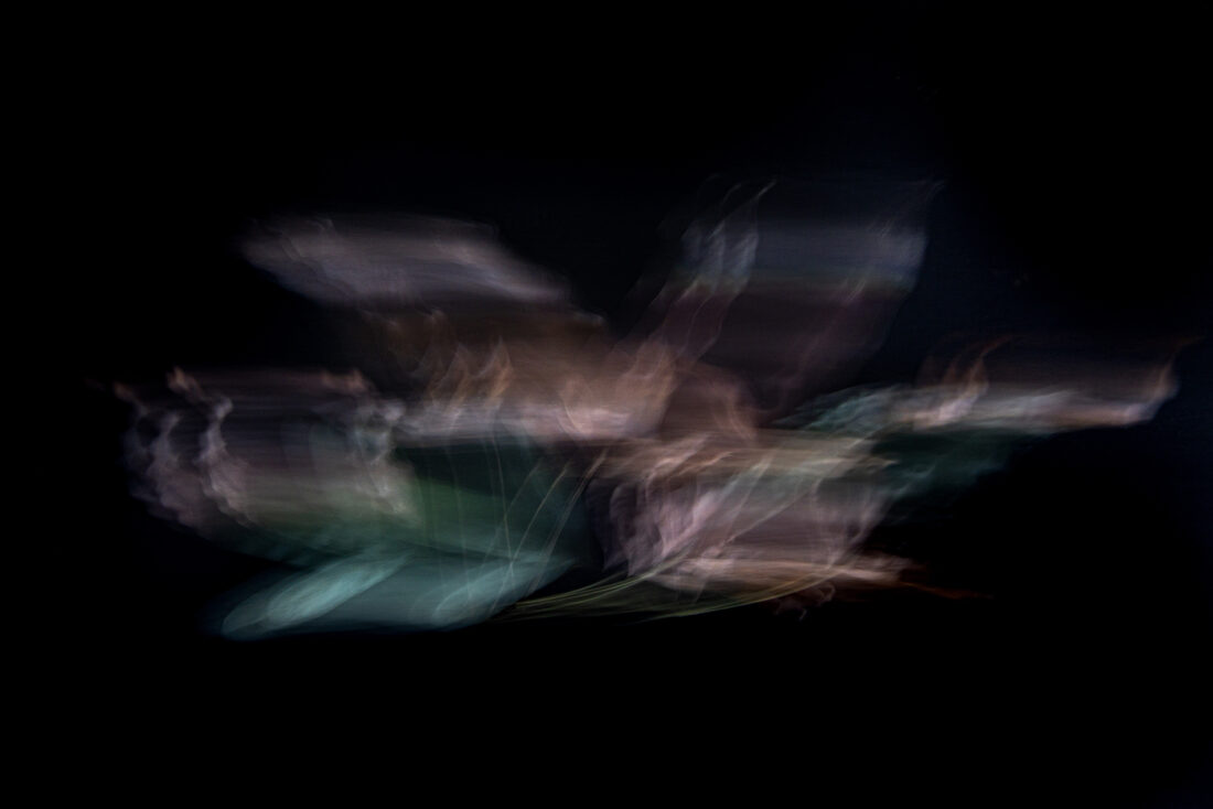 Leaves | Abstract | Fotografie | 24